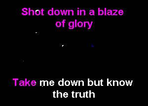 Shot down in a blaze
of glory

Take me down but know
the truth