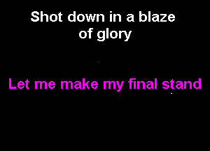 Shot down in a blaze
of glory

Let me make my final stand