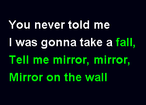You never told me
I was gonna take a fall,

Tell me mirror, mirror,
Mirror on the wall