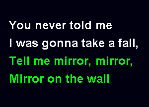 You never told me
I was gonna take a fall,

Tell me mirror, mirror,
Mirror on the wall