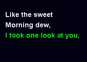 Like the sweet
Morning dew,

I took one look at you,