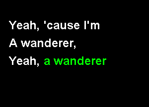 Yeah, 'cause I'm
A wanderer,

Yeah, a wanderer