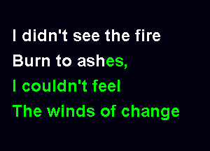 ldidn't see the fire
Burn to ashes,

I couldn't feel
The winds of change