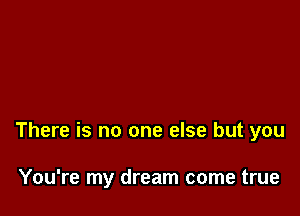 There is no one else but you

You're my dream come true