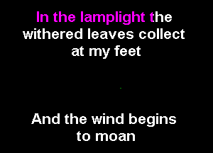 In the lamplight the
withered leaves collect
at my feet

And the wind begins
to moan