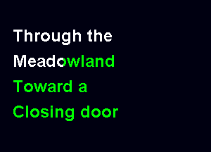 Through the
Meadowland

Toward a
Closing door