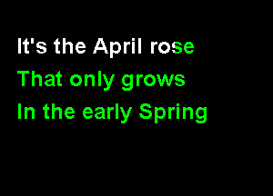 It's the April rose
That only grows

In the early Spring