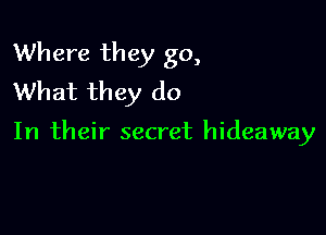 Where they go,
What they do

In their secret hideaway