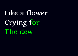 Like a flower
Crying for

The dew