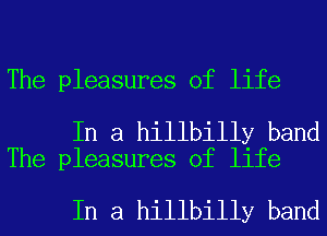 The pleasures of life

In a hillbilly band
The pleasures of life

In a hillbilly band