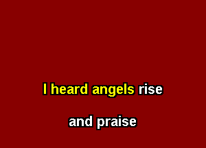 I heard angels rise

and praise