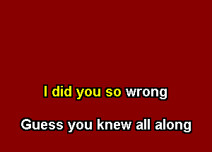 I did you so wrong

Guess you knew all along