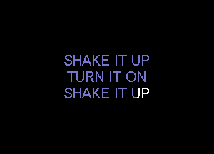 SHAKE IT UP
TURN IT ON

SHAKE IT UP