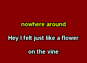 nowhere around

Hey I felt just like a flower

on the vine