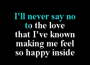 I'll never say no
to the love
that I've known
making me feel

so happy inside I