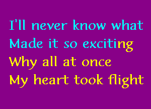 I'll never know what
Made it so exciting
Why all at once

My heart took flight