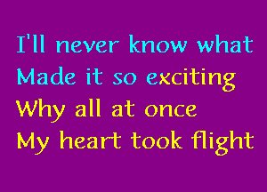 I'll never know what
Made it so exciting
Why all at once

My heart took flight