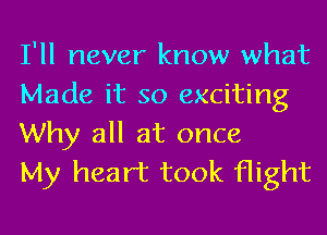 I'll never know what
Made it so exciting
Why all at once

My heart took flight