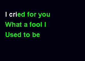 I cried for you
What a fool I

Used to be