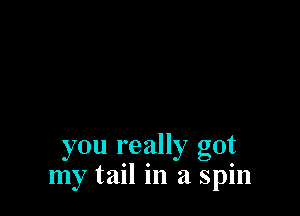 you really got
my tail in a spin