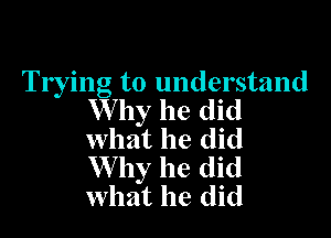 Trying to understand
W by he did

what he did
W by he did
what he did