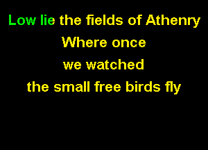 Low lie the fields of Athenry
Where once
we watched

the small free birds fly
