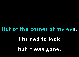 Out of the corner of my eye.

I turned to look

but it was gone.