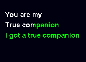 You are my
True companion

I got a true companion