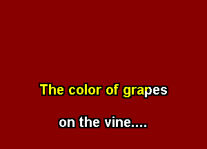 The color of grapes

on the vine....