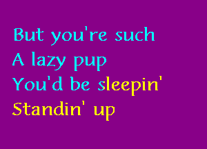 But you're such
A lazy pup

You'd be sleepin'
Standin' up