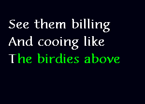 See them billing
And cooing like

The birdies above