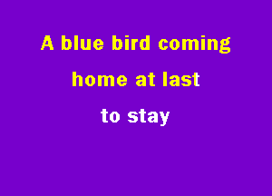 A blue bird coming

home at last

to stay