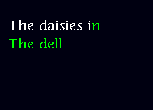 The daisies in
The dell