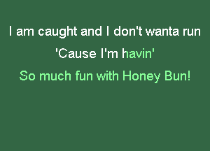 I am caught and I don'twanta run

'Cause I'm havin'

So much fun with Honey Bun!