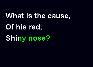 What is the cause,
Of his red,

Shiny nose?