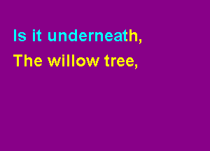 Is it underneath,
The willow tree,