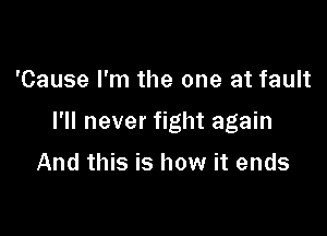 'Cause I'm the one at fault

I'll never fight again

And this is how it ends