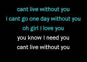 cant live without you
I cant go one day without you

oh girl I love you

you know I need you
cant live without you