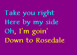 Take you right
Here by my side

Oh, I'm goin'
Down to Rosedale