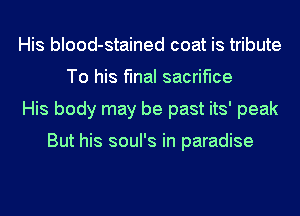 His blood-stained coat is tribute
To his final sacrifice
His body may be past its' peak

But his soul's in paradise