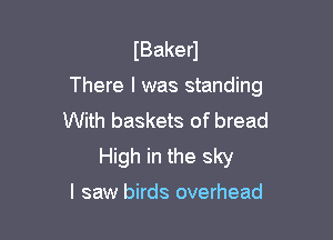 IBakerl

There I was standing

With baskets of bread
High in the sky
I saw birds overhead
