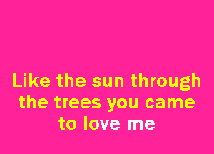 Like the sun through
the trees you came
to love me