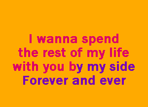 I wanna spend
the rest of my life
with you by my side
Forever and ever