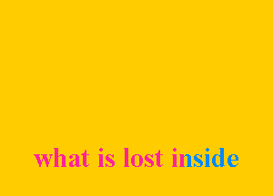what is lost inside