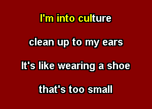 I'm into culture

clean up to my ears

It's like wearing a shoe

that's too small
