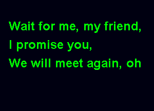 Wait for me, my friend,
I promise you,

We will meet again, oh