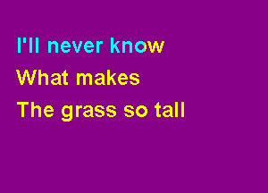 I'll never know
What makes

The grass so tall