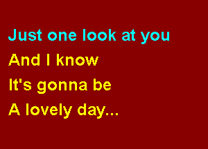 Just one look at you
And I know

It's gonna be
A lovely day...