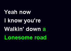 Yeah now
I know you're

Walkin' down a
Lonesome road