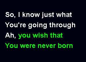 So, I knowjust what
You're going through

Ah, you wish that
You were never born